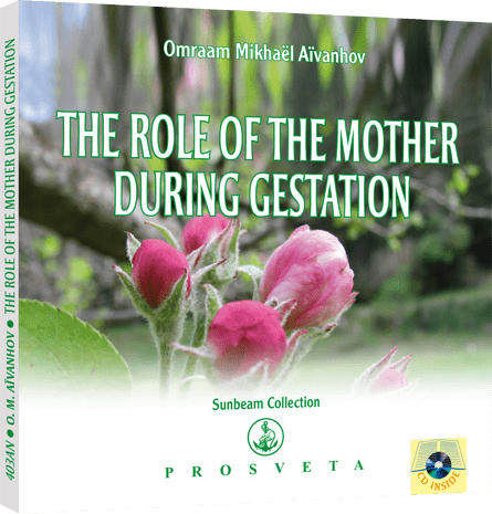 The Role of the Mother during Gestation (Sunbeam Collection)