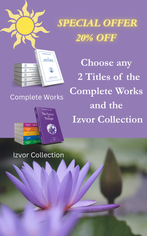 Special offer 20% OFF